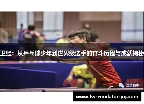 卫猛:从乒乓球少年到世界级选手的奋斗历程与成就揭秘 卫猛:从乒乓球少年到世界级选手的奋斗历程与成就揭秘