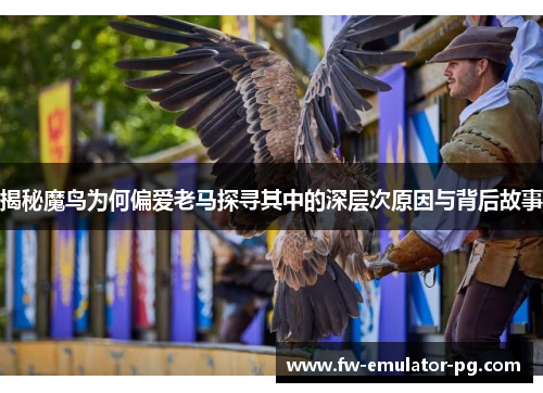 揭秘魔鸟为何偏爱老马探寻其中的深层次原因与背后故事 揭秘魔鸟为何偏爱老马探寻其中的深层次原因与背后故事